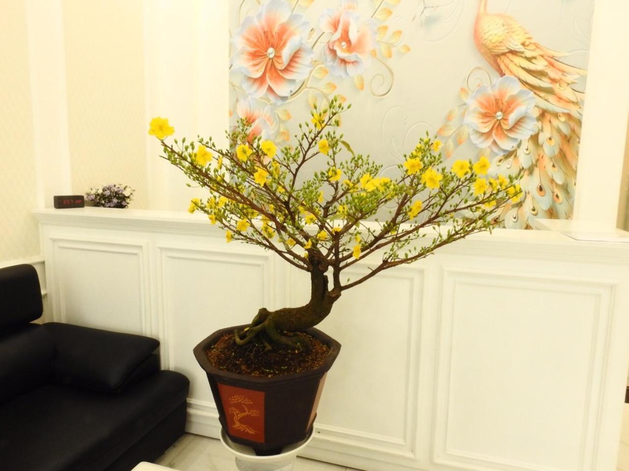 Daisy Hotel Thành Pho Ho Chí Minh Esterno foto